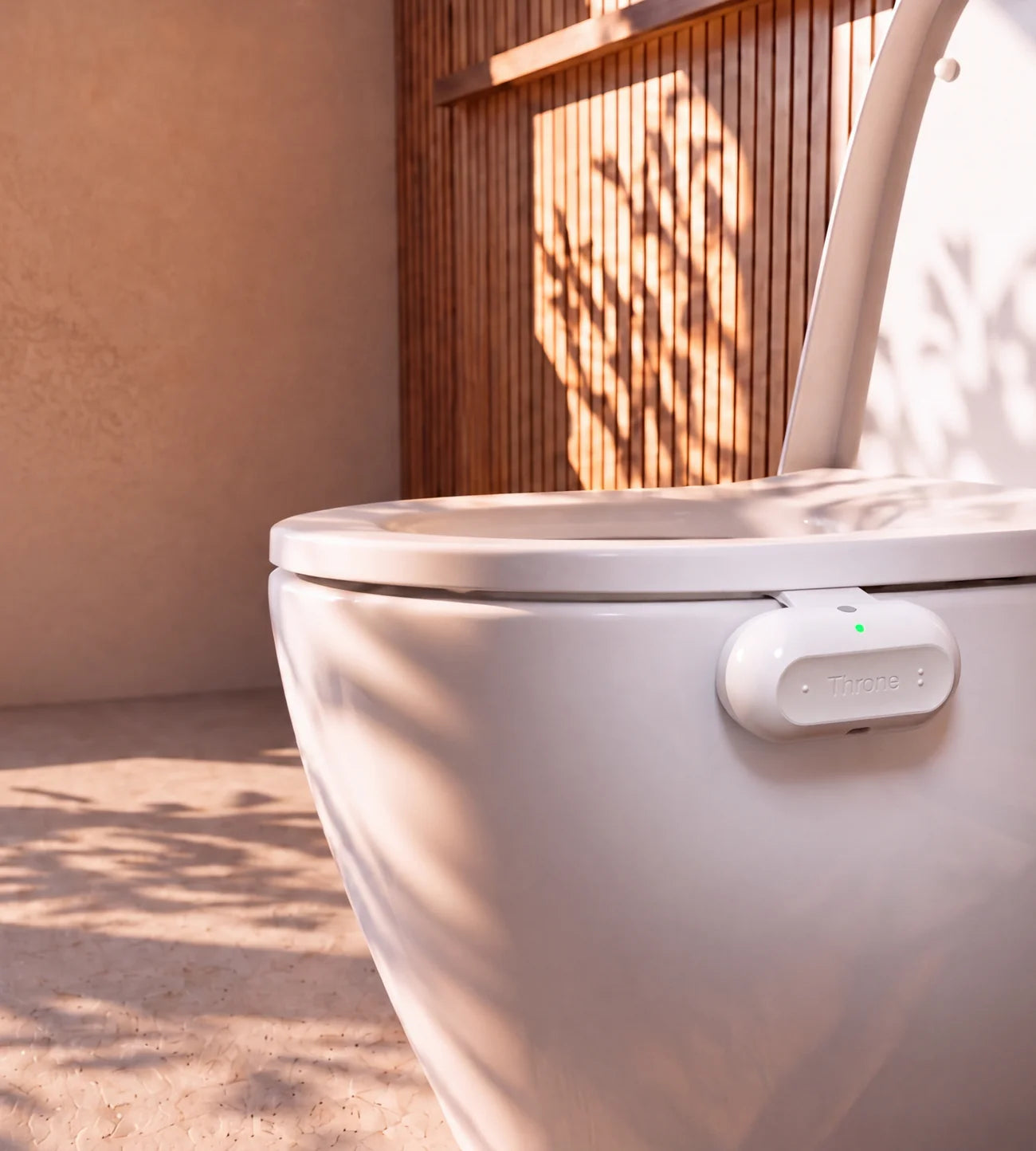 Throne mounted on the outside of a toilet bowl, just beneath the seat, in a sunlit bathroom