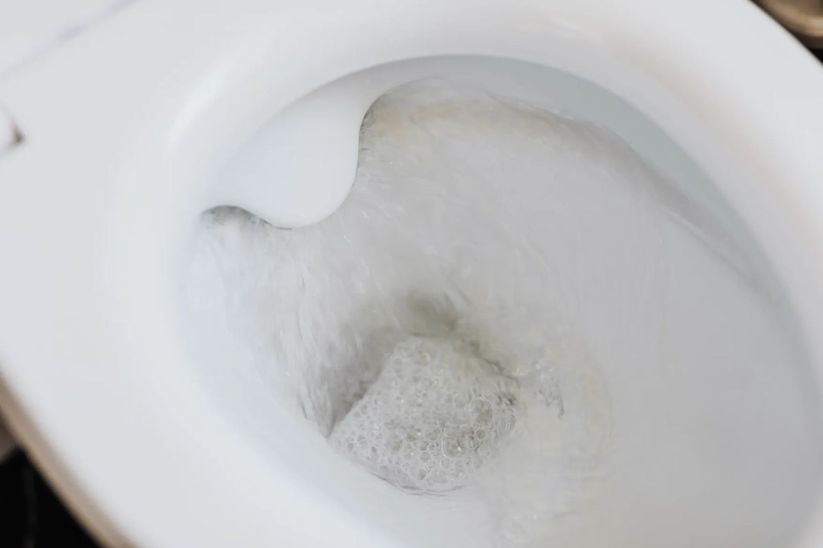 clear water in a toilet bowl