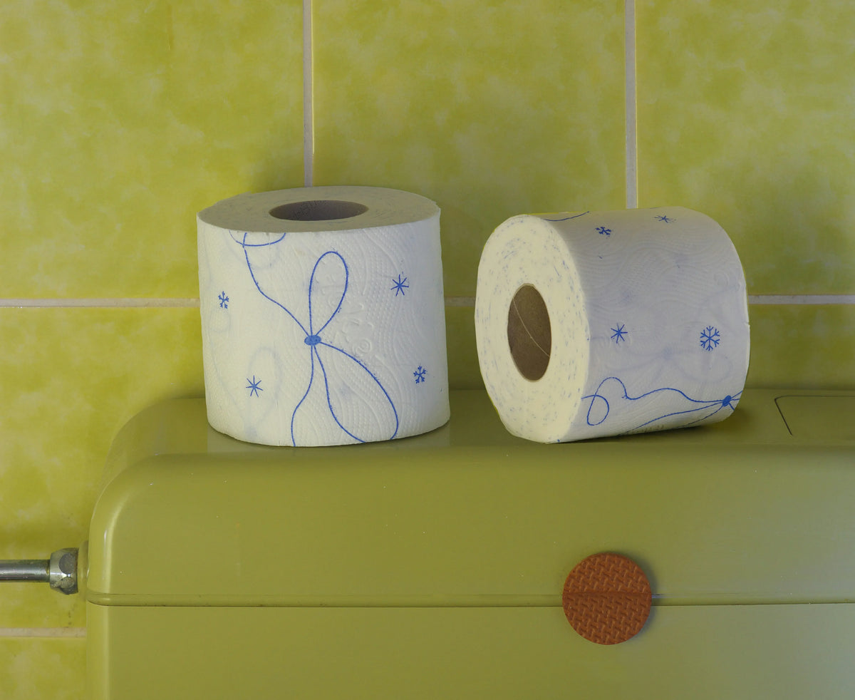 two rolls of toilet paper in a retro bathroom