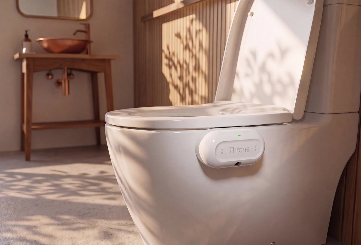 Throne device attached to a toilet at home