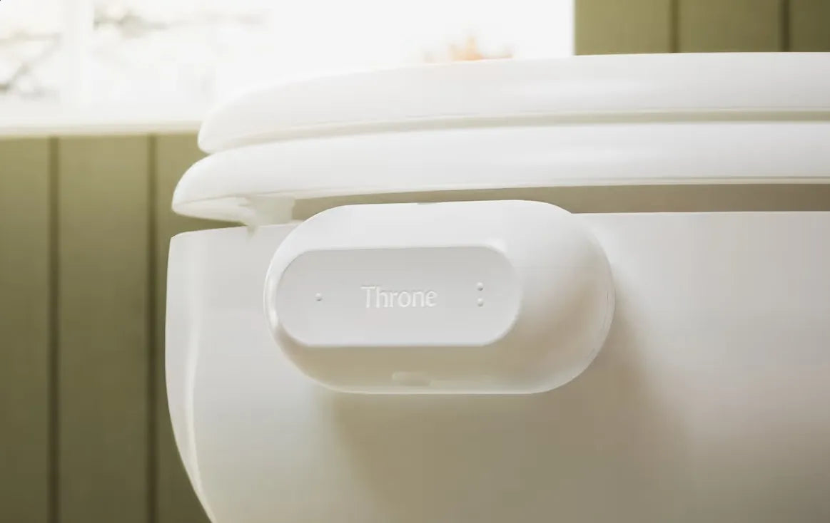 Throne device attached to a toilet