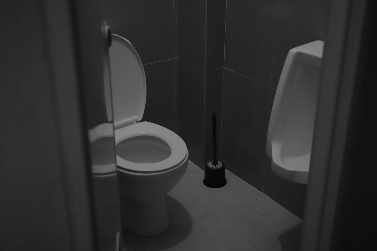 Toilet and plunger in a bathroom