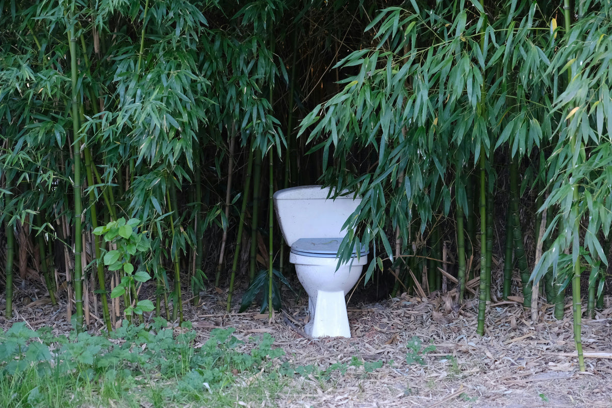Clear Poop: Why It Happens and When to Pay Attention