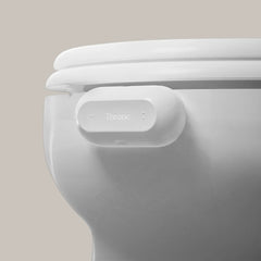 Throne Wholesale 10-Pack
