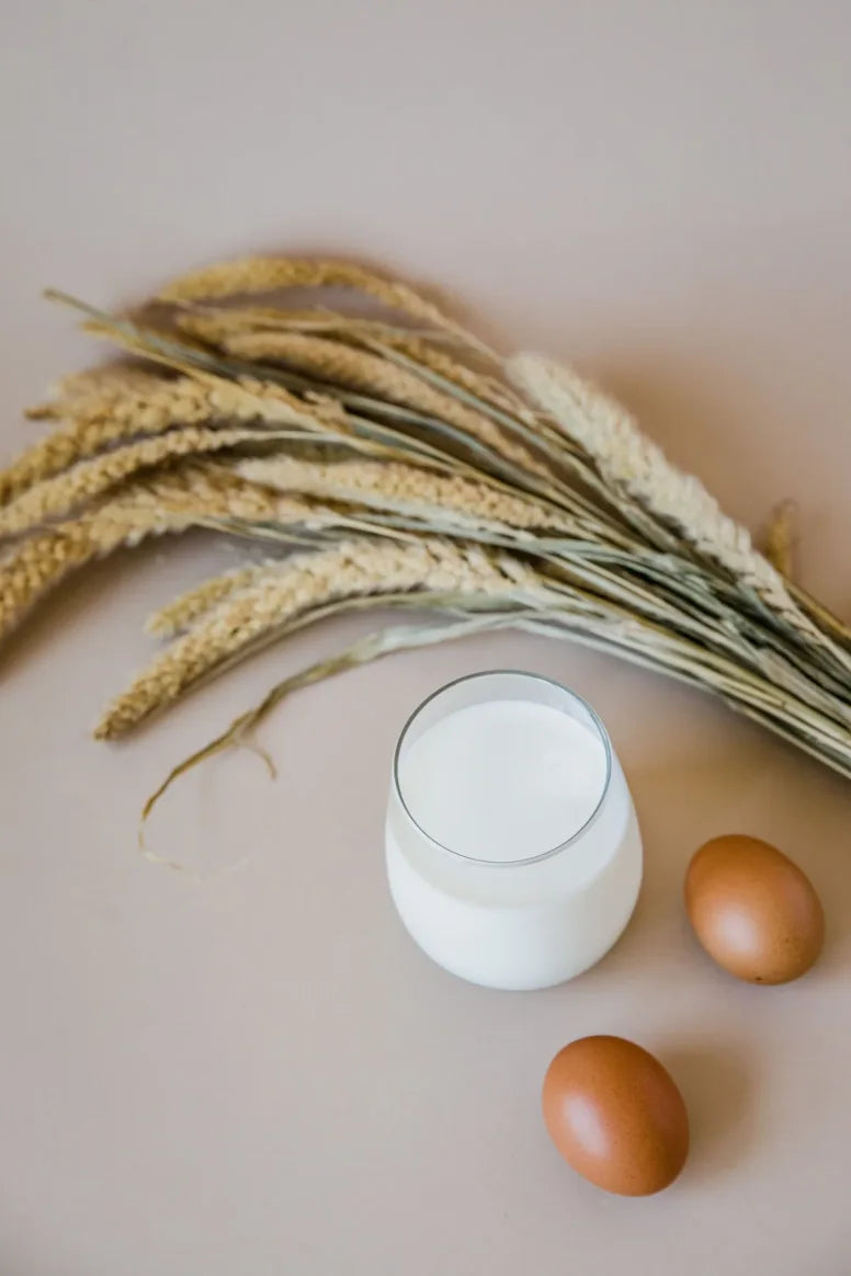 Dried wheat stalks beside a glass of milk and brown eggs