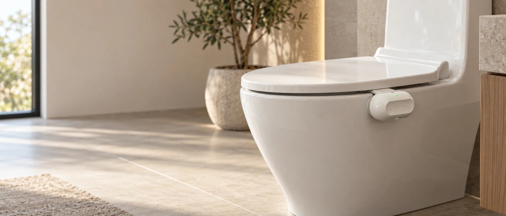 Throne installed on a toilet in a sunlit spa bathroom